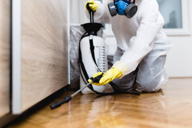 Best Wildlife Control Services  in Elmwood, IL