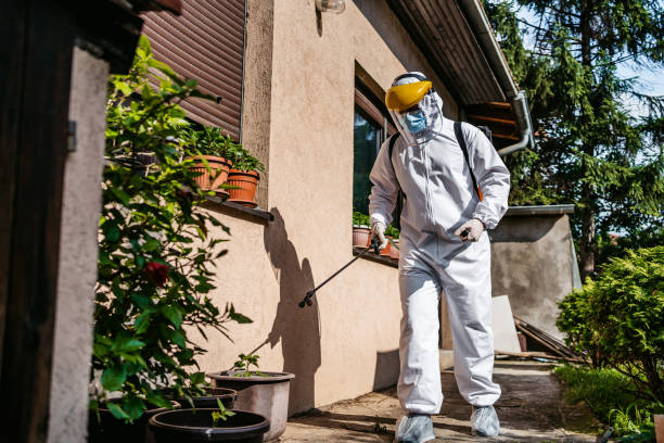 Best Mosquito Control Services  in Elmwood, IL