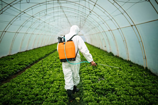 Best Affordable Exterminators  in Elmwood, IL