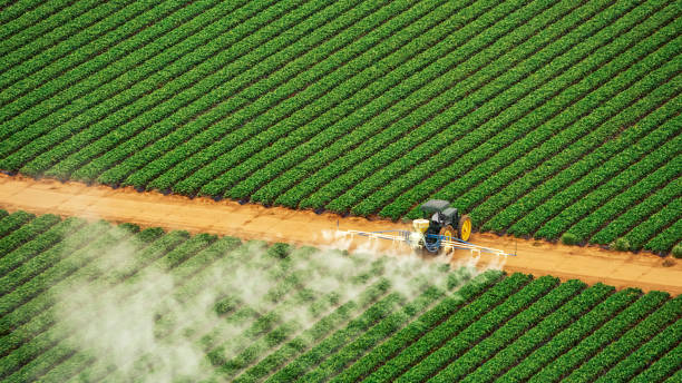 Best Mosquito Control Services  in Elmwood, IL