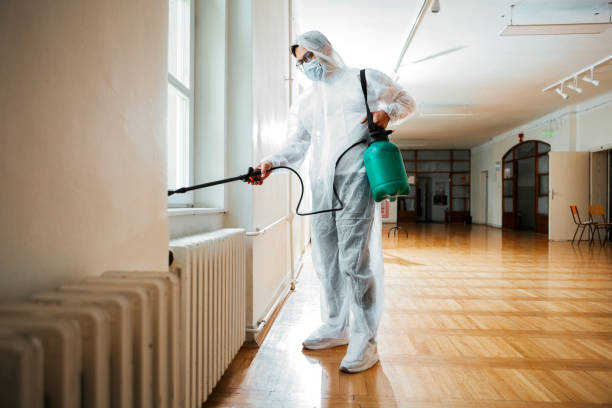 Best Flea Control Services  in Elmwood, IL