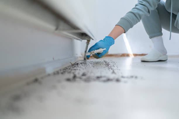 Best Pest Removal Services  in Elmwood, IL